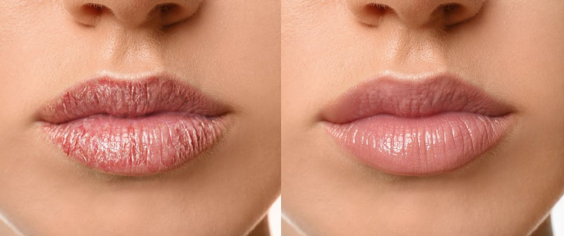 Pavise Lip Defense SPF: Discover the Magic of Lip Oil